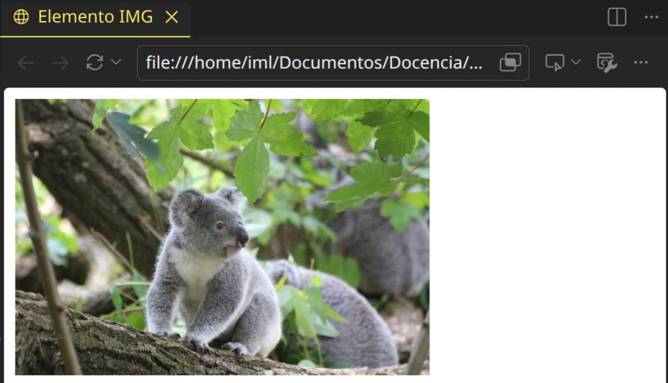 ut02-html-body-img.png500